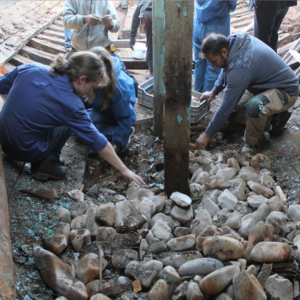 Removing the ballast stones found under the crew's cabin, at the bow.